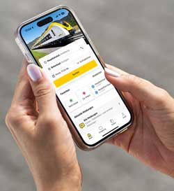 VAG RVF App Smartphone
